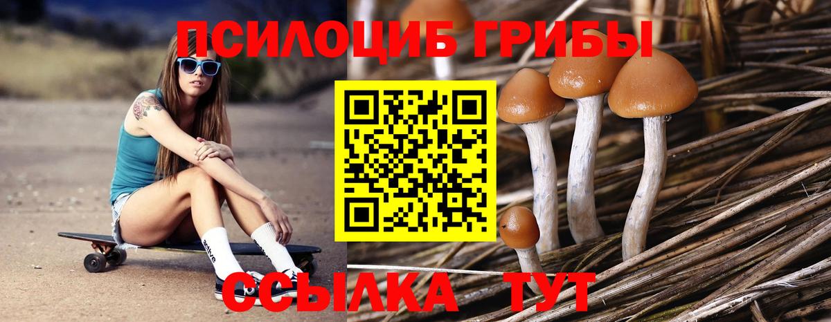 Псилоцибиновые грибы мицелий  Вход с VPN  Псилоцибиновые грибы MAGIC MUSHROOMS  Ачинск 